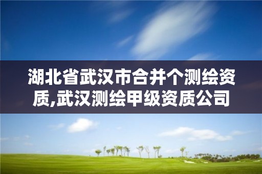 湖北省武漢市合并個測繪資質,武漢測繪甲級資質公司