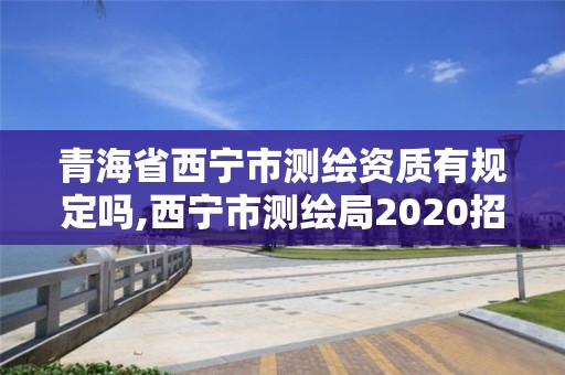 青海省西寧市測繪資質有規定嗎,西寧市測繪局2020招聘。