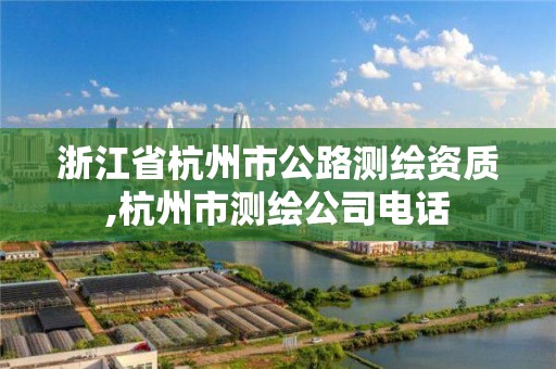 浙江省杭州市公路測繪資質,杭州市測繪公司電話