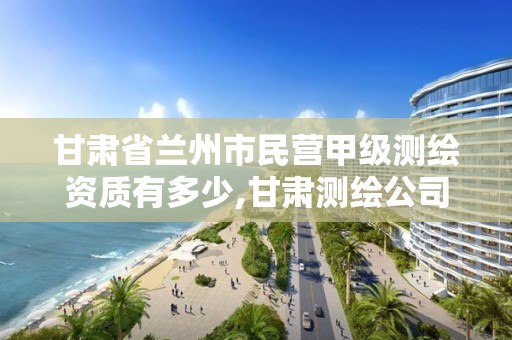 甘肅省蘭州市民營甲級測繪資質有多少,甘肅測繪公司排名