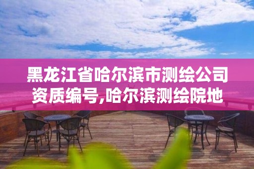 黑龍江省哈爾濱市測(cè)繪公司資質(zhì)編號(hào),哈爾濱測(cè)繪院地址