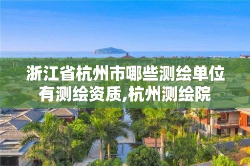 浙江省杭州市哪些測繪單位有測繪資質,杭州測繪院