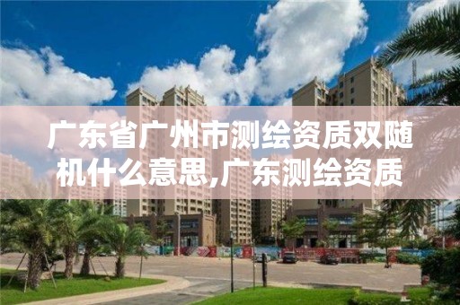 廣東省廣州市測繪資質雙隨機什么意思,廣東測繪資質標準