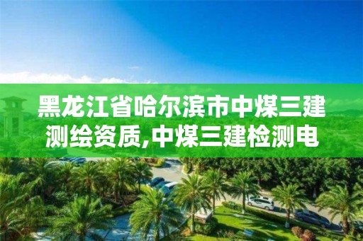 黑龍江省哈爾濱市中煤三建測繪資質,中煤三建檢測電話。