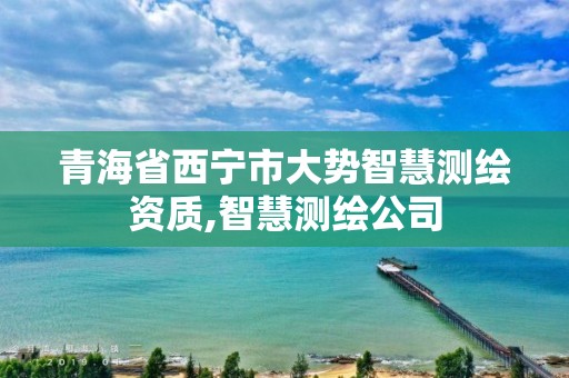 青海省西寧市大勢智慧測繪資質,智慧測繪公司