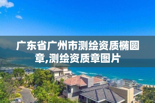 廣東省廣州市測繪資質橢圓章,測繪資質章圖片