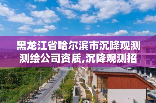 黑龍江省哈爾濱市沉降觀測測繪公司資質,沉降觀測招標公告