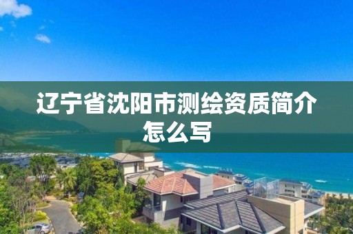 遼寧省沈陽市測繪資質簡介怎么寫