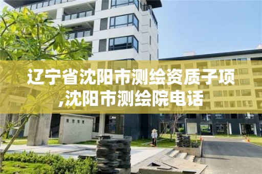 遼寧省沈陽市測繪資質子項,沈陽市測繪院電話