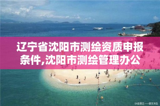 遼寧省沈陽市測繪資質申報條件,沈陽市測繪管理辦公室