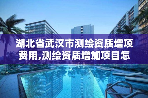 湖北省武漢市測繪資質增項費用,測繪資質增加項目怎么申請