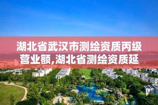 湖北省武漢市測繪資質丙級營業額,湖北省測繪資質延期公告