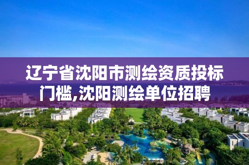 遼寧省沈陽市測繪資質投標門檻,沈陽測繪單位招聘