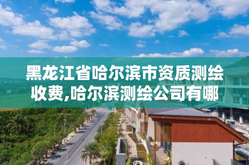 黑龍江省哈爾濱市資質測繪收費,哈爾濱測繪公司有哪些