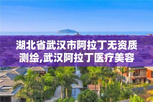 湖北省武漢市阿拉丁無(wú)資質(zhì)測(cè)繪,武漢阿拉丁醫(yī)療美容。