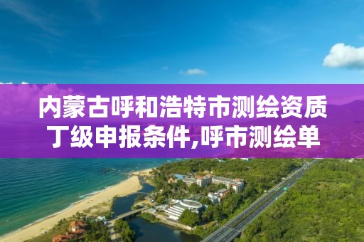 內蒙古呼和浩特市測繪資質丁級申報條件,呼市測繪單位