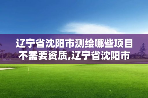 遼寧省沈陽市測繪哪些項目不需要資質,遼寧省沈陽市測繪哪些項目不需要資質的。