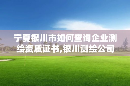 寧夏銀川市如何查詢企業測繪資質證書,銀川測繪公司甲級。