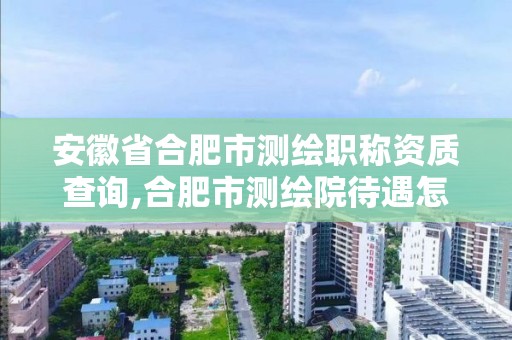 安徽省合肥市測繪職稱資質查詢,合肥市測繪院待遇怎么樣