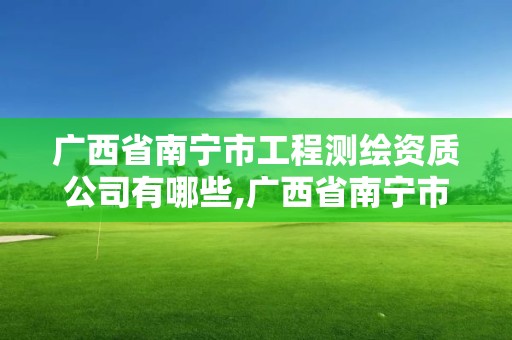 廣西省南寧市工程測繪資質公司有哪些,廣西省南寧市工程測繪資質公司有哪些單位。