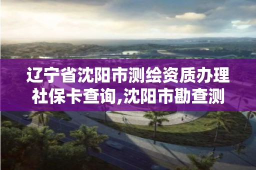 遼寧省沈陽市測繪資質辦理社保卡查詢,沈陽市勘查測繪。