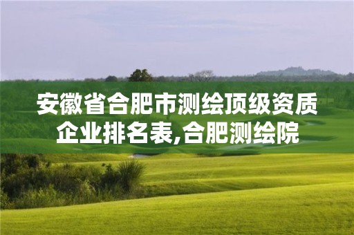 安徽省合肥市測繪頂級資質企業排名表,合肥測繪院