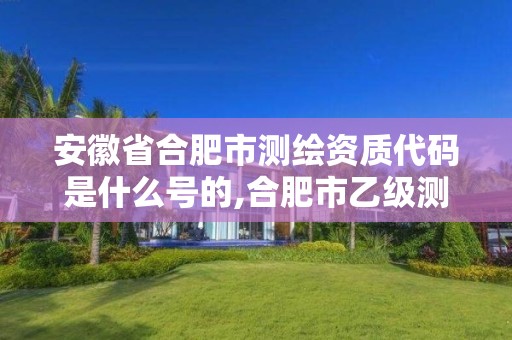 安徽省合肥市測繪資質(zhì)代碼是什么號的,合肥市乙級測繪公司