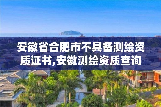 安徽省合肥市不具備測繪資質證書,安徽測繪資質查詢系統