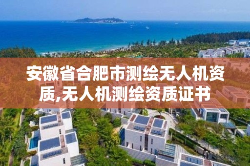 安徽省合肥市測繪無人機資質,無人機測繪資質證書