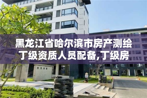 黑龍江省哈爾濱市房產測繪丁級資質人員配備,丁級房產測繪資質能測繪最大面積。