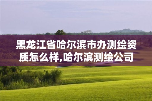 黑龍江省哈爾濱市辦測繪資質怎么樣,哈爾濱測繪公司電話。