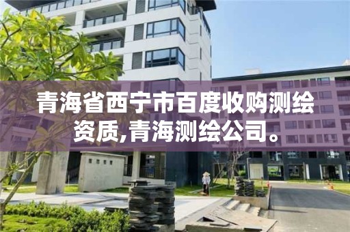 青海省西寧市百度收購測繪資質,青海測繪公司。