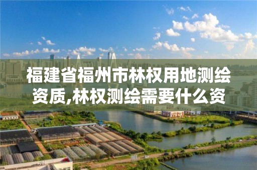 福建省福州市林權用地測繪資質,林權測繪需要什么資質。