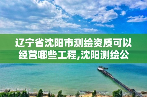 遼寧省沈陽市測繪資質可以經營哪些工程,沈陽測繪公司哪家強哪家好。