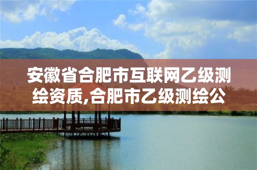 安徽省合肥市互聯網乙級測繪資質,合肥市乙級測繪公司。