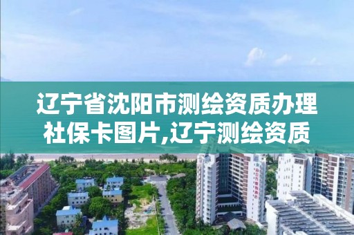 遼寧省沈陽市測繪資質辦理社?？▓D片,遼寧測繪資質查詢。