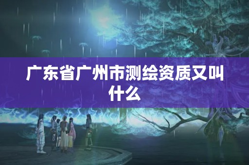 廣東省廣州市測繪資質又叫什么