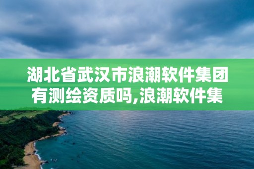 湖北省武漢市浪潮軟件集團(tuán)有測(cè)繪資質(zhì)嗎,浪潮軟件集團(tuán)云計(jì)算開發(fā)測(cè)試中心。