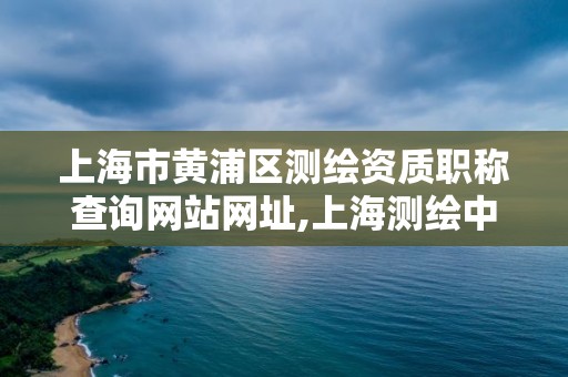 上海市黃浦區測繪資質職稱查詢網站網址,上海測繪中心。