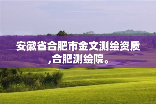 安徽省合肥市金文測繪資質,合肥測繪院。