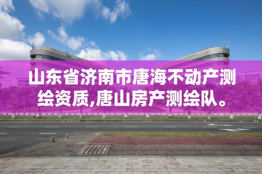 山東省濟南市唐海不動產測繪資質,唐山房產測繪隊。