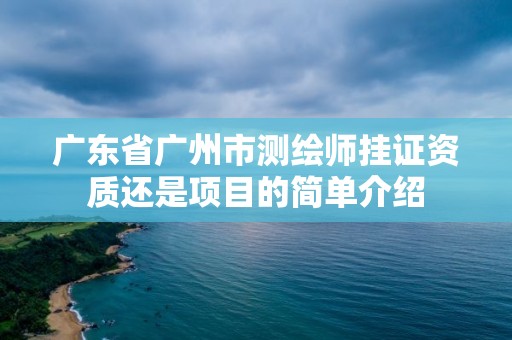 廣東省廣州市測繪師掛證資質還是項目的簡單介紹