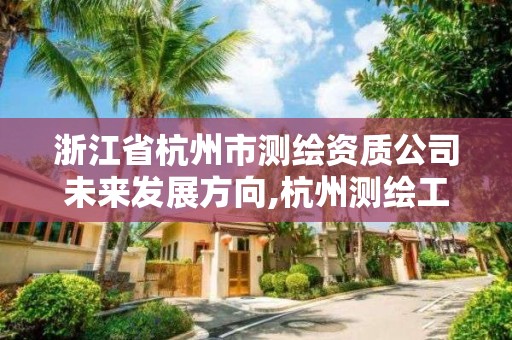 浙江省杭州市測繪資質公司未來發展方向,杭州測繪工程師招聘。