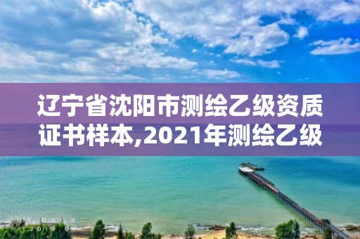 遼寧省沈陽市測繪乙級資質證書樣本,2021年測繪乙級資質申報條件。