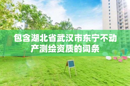 包含湖北省武漢市東寧不動產測繪資質的詞條