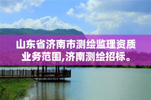 山東省濟南市測繪監理資質業務范圍,濟南測繪招標。