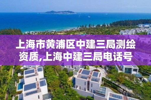 上海市黃浦區(qū)中建三局測繪資質(zhì),上海中建三局電話號碼多少。