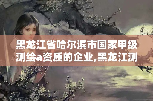 黑龍江省哈爾濱市國家甲級測繪a資質(zhì)的企業(yè),黑龍江測繪公司乙級資質(zhì)。