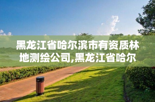 黑龍江省哈爾濱市有資質(zhì)林地測繪公司,黑龍江省哈爾濱市測繪局。