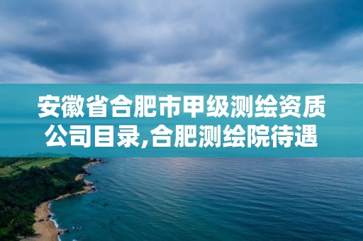 安徽省合肥市甲級測繪資質公司目錄,合肥測繪院待遇怎么樣。